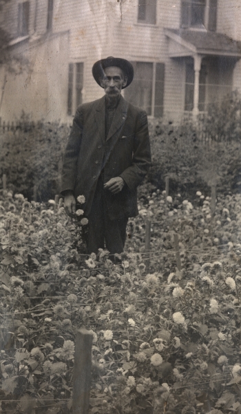 Scaled image s01120b.jpg 