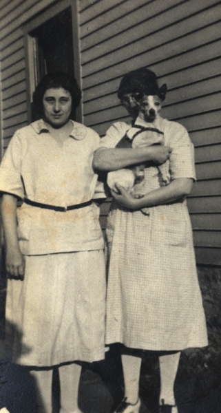 Scaled image s01131a.jpg 