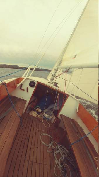 Scaled image 1009191459.jpg 