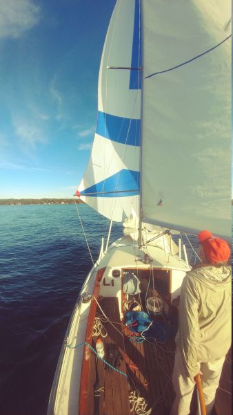 Scaled image 1013191542.jpg 
