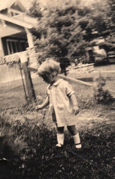 Scaled image s0110.jpg 