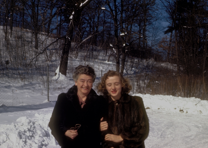 Scaled image mebs0038.jpg 