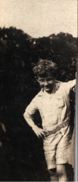 Scaled image s00917.jpg 