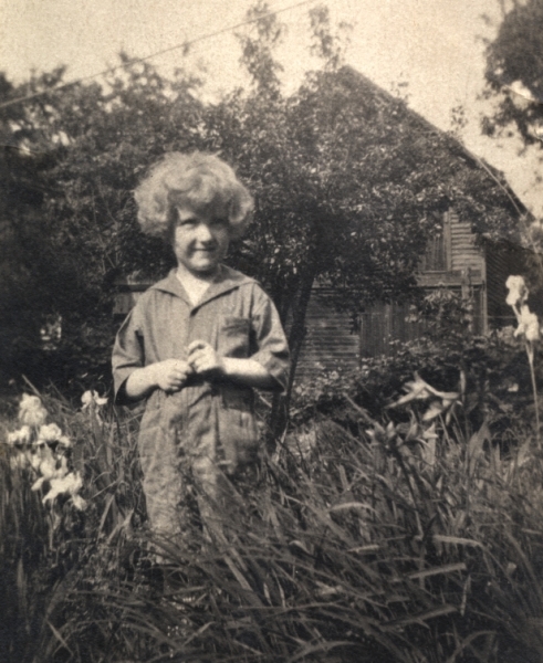 Scaled image s00941.jpg 