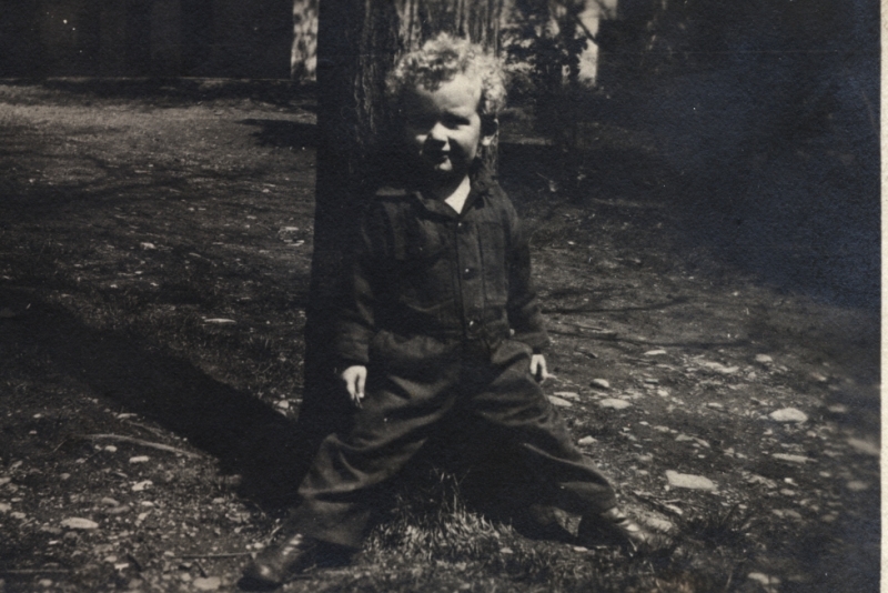 Scaled image s00946.jpg 