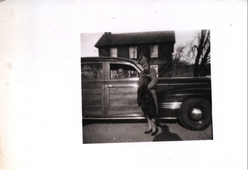 Scaled image s00904.jpg 