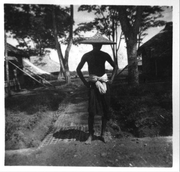 Scaled image s00543.jpg 