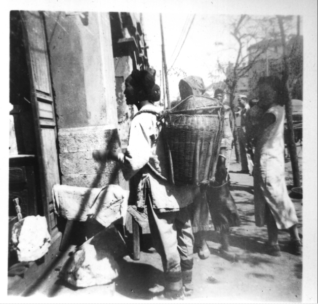 Scaled image s00559.jpg 