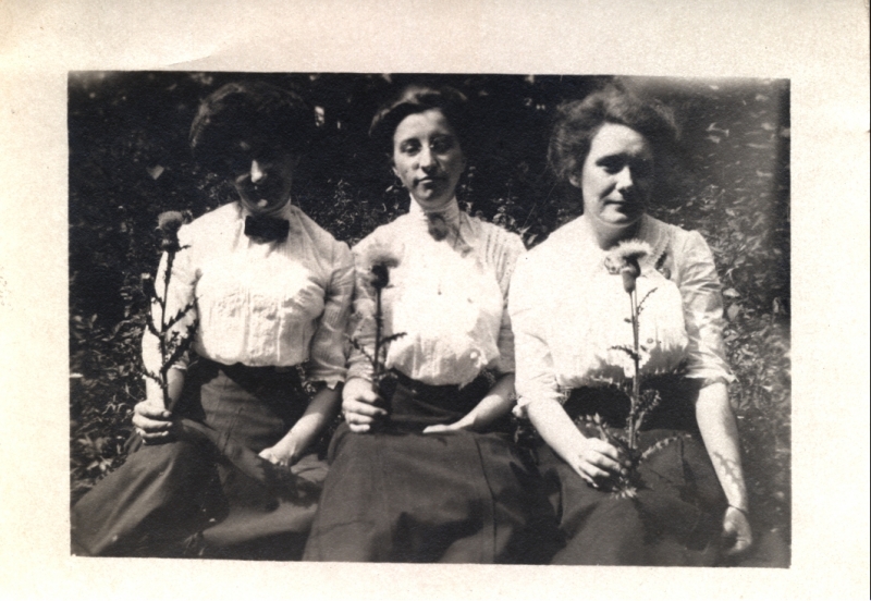 Scaled image s00907.jpg 