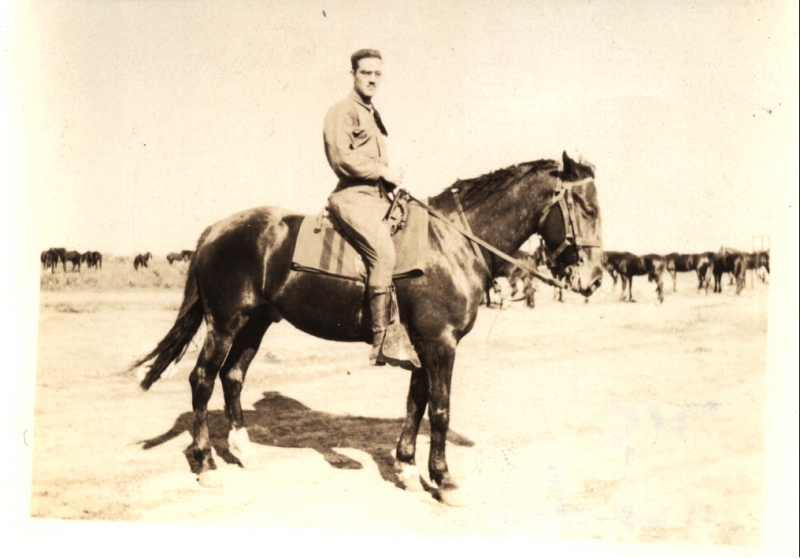 Scaled image s00586.jpg 