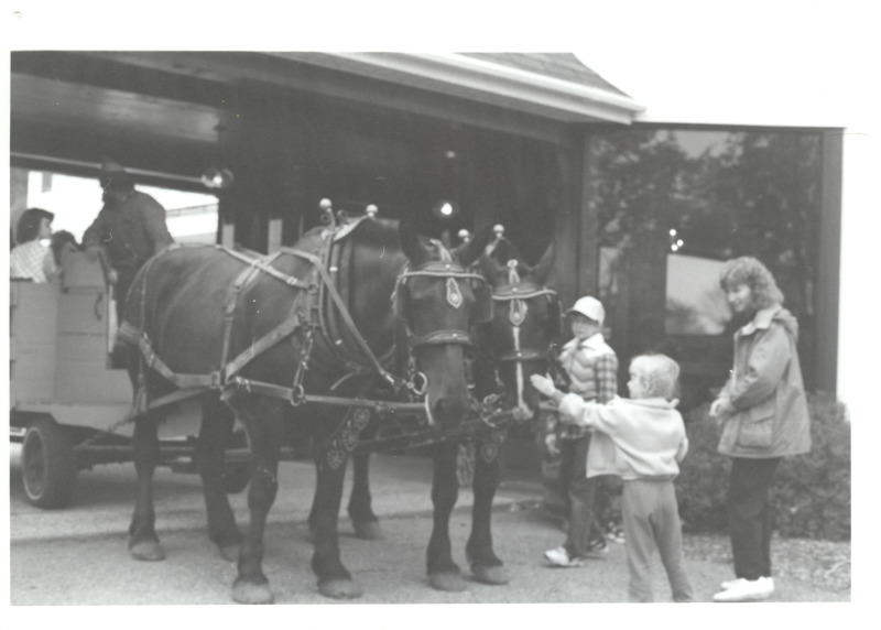 Scaled image s01421.jpg 