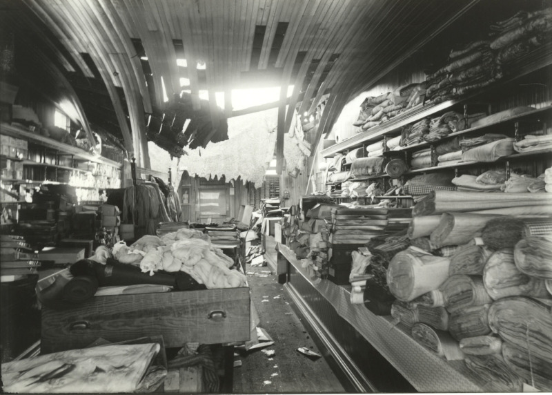 Scaled image s00782.jpg 