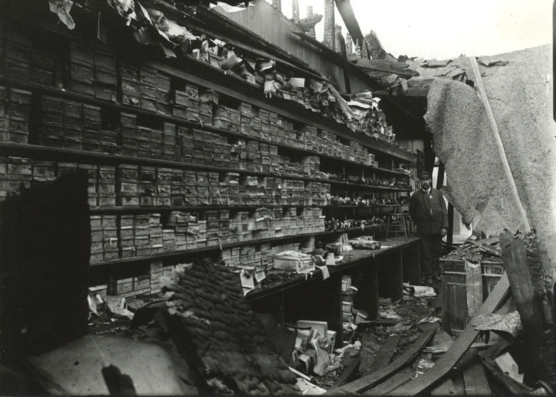 Scaled image s00785.jpg 