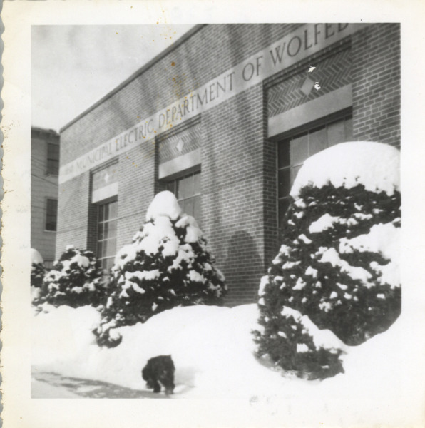 Scaled image s00769.jpg 