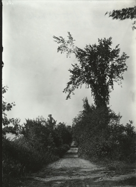 Scaled image s01104.jpg 