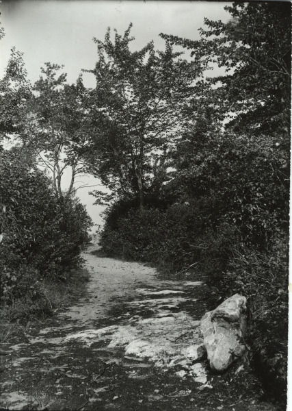 Scaled image s01106.jpg 