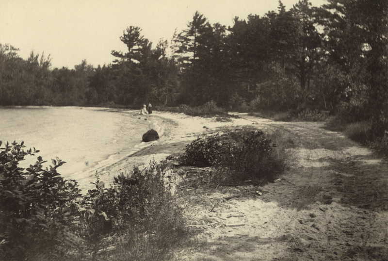 Scaled image s01113.jpg 