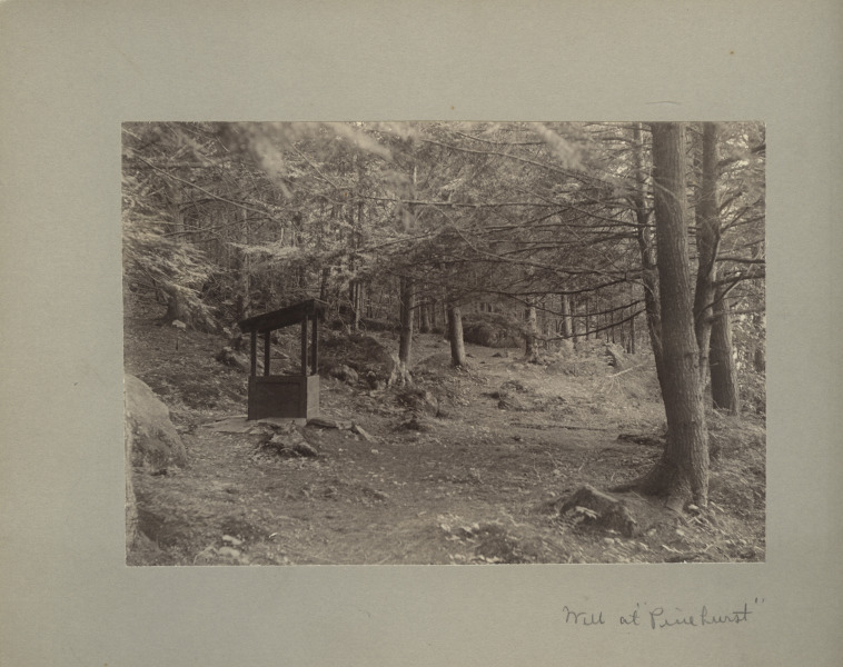 Scaled image s01121.jpg 