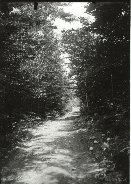 Scaled image s01151.jpg 