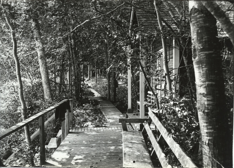 Scaled image s01161.jpg 