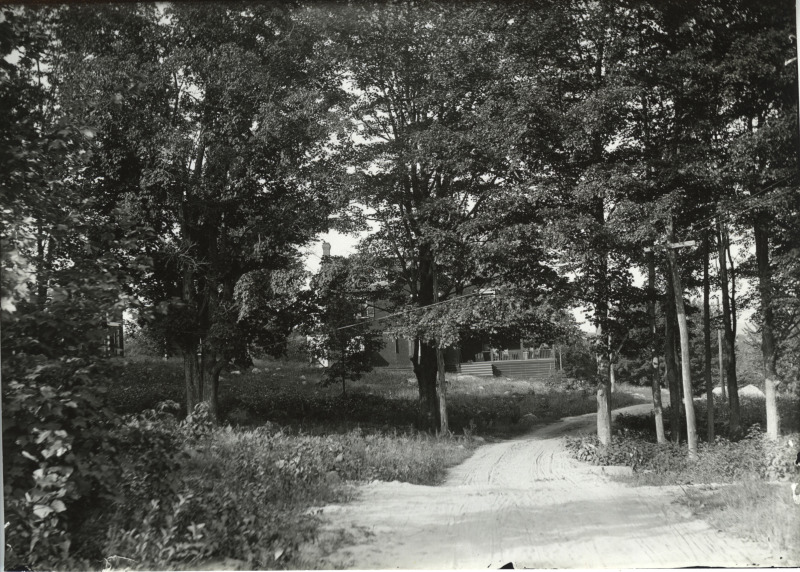 Scaled image s01162.jpg 