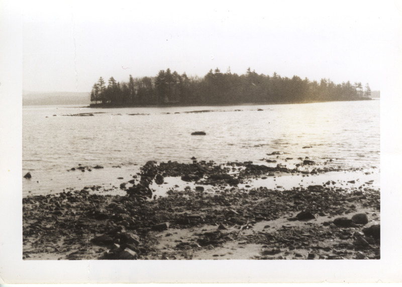 Scaled image s01016.jpg 