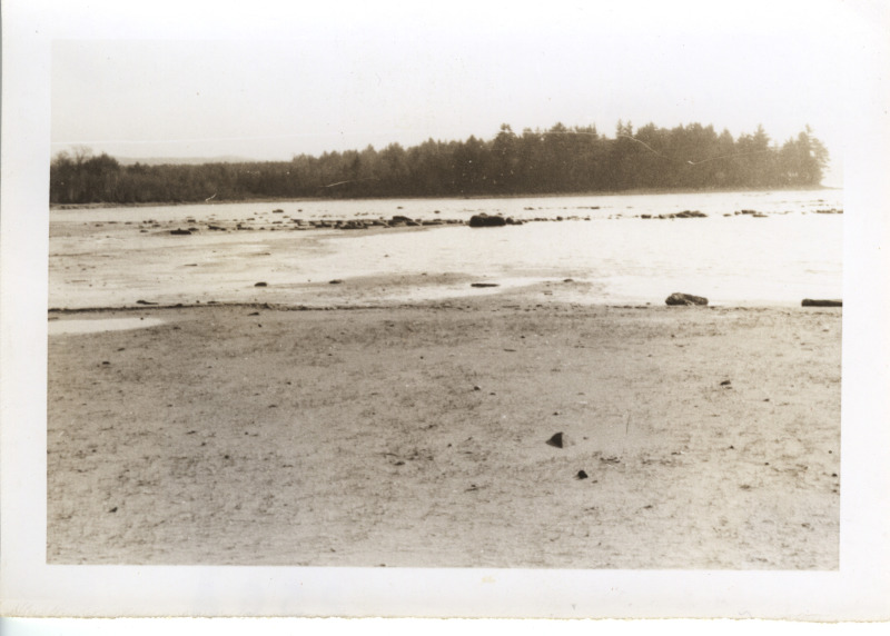 Scaled image s01017.jpg 