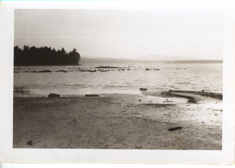 Scaled image s01018.jpg 