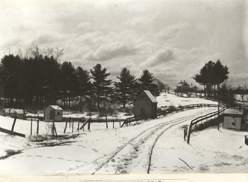 Scaled image s01025.jpg 