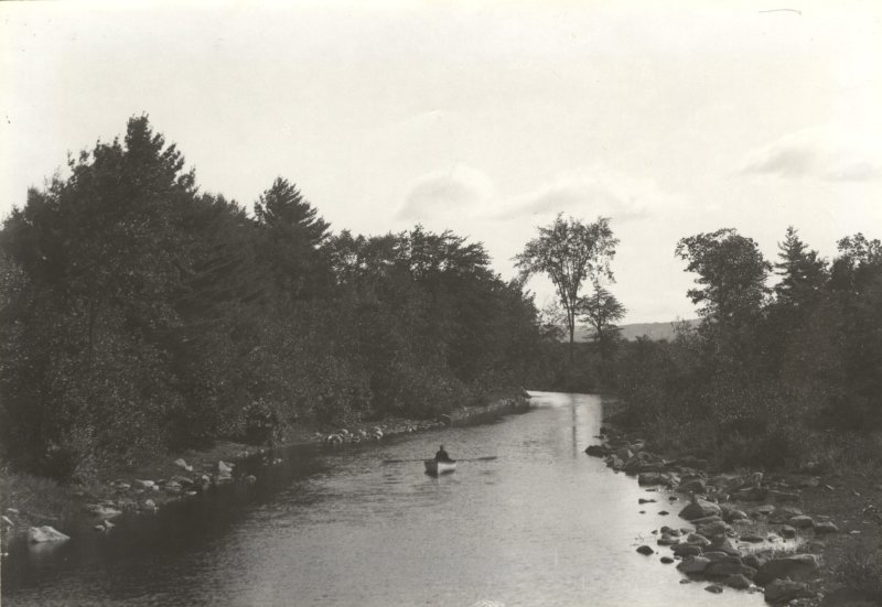 Scaled image s01031.jpg 