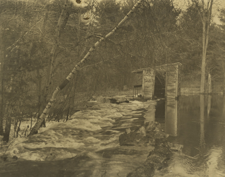 Scaled image s01032.jpg 