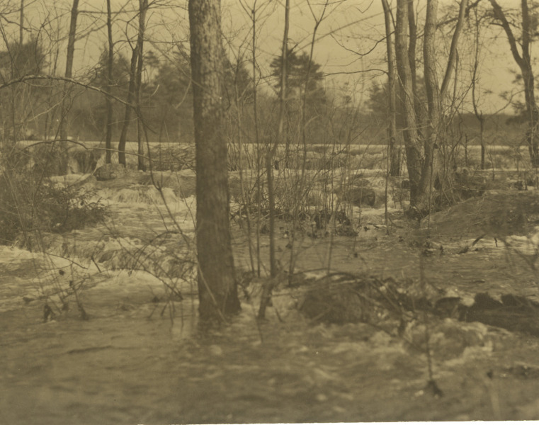 Scaled image s01033.jpg 