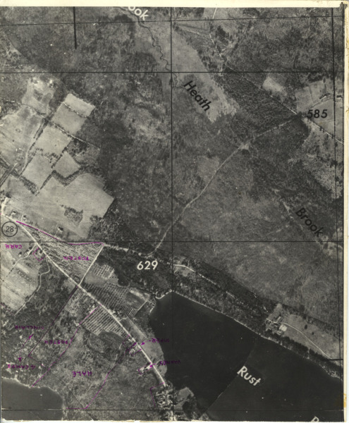 Scaled image s01042.jpg 