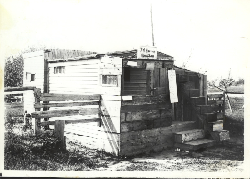 Scaled image s01060.jpg 