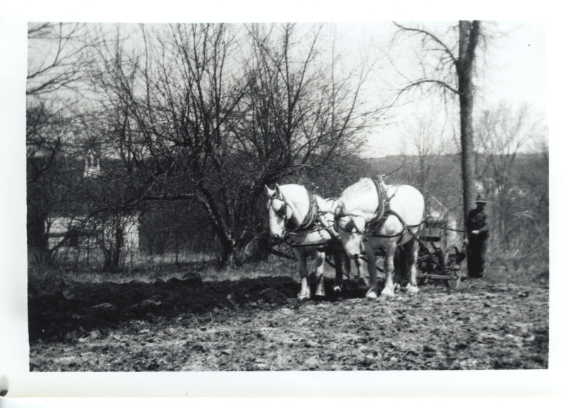 Scaled image s01236.jpg 