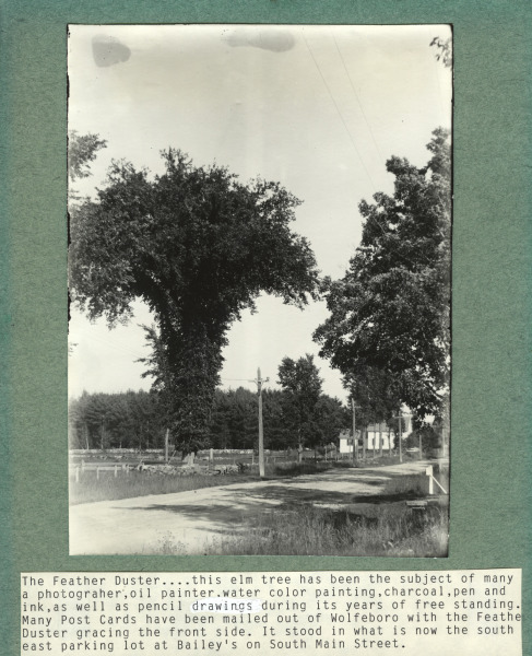 Scaled image s01245.jpg 