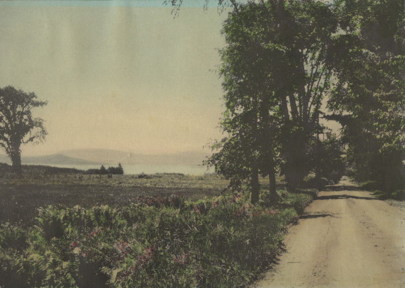 Scaled image s01269.jpg 