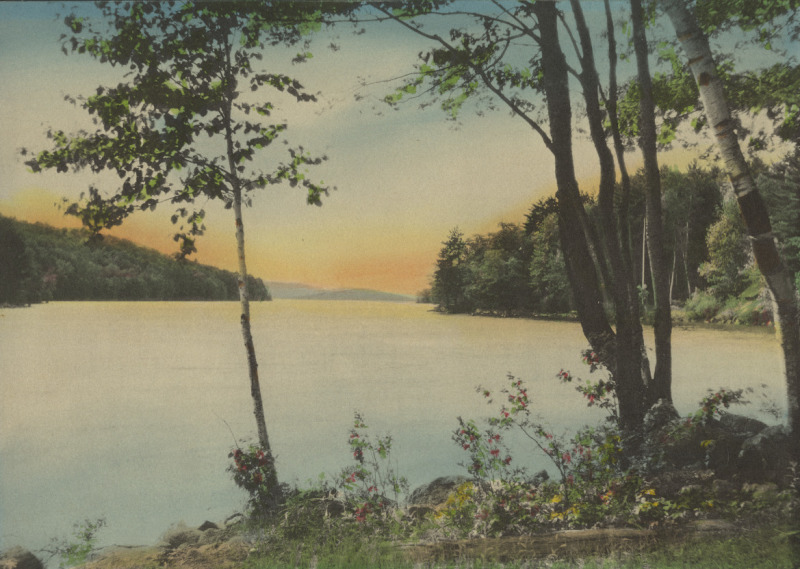 Scaled image s01271.jpg 