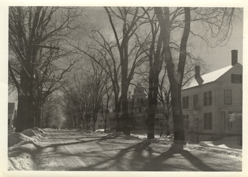 Scaled image s01462.jpg 