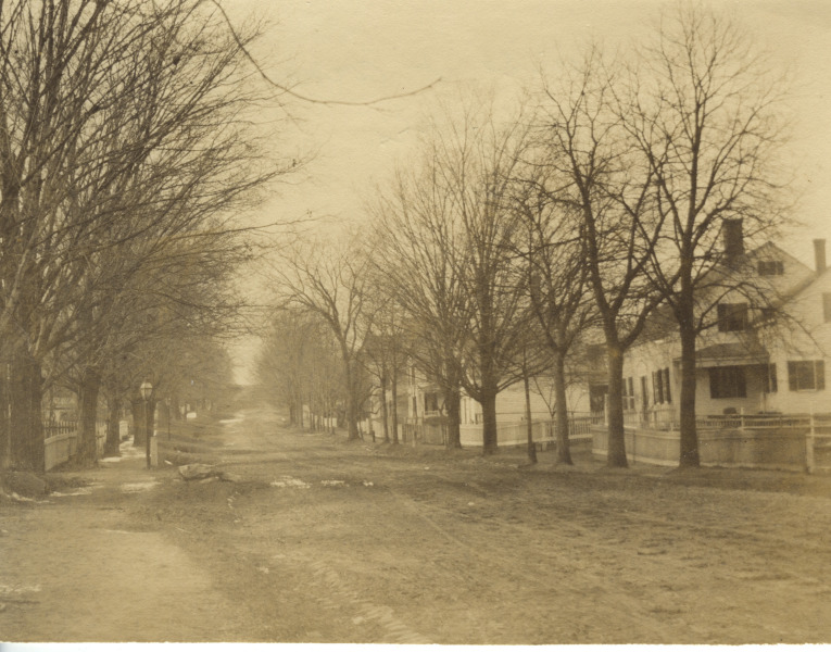 Scaled image s01464.jpg 