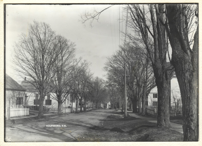 Scaled image s01471.jpg 