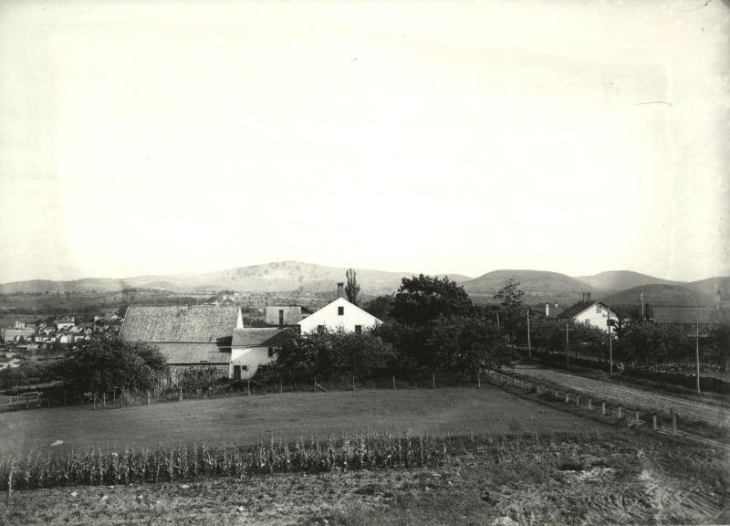 Scaled image s00526.jpg 