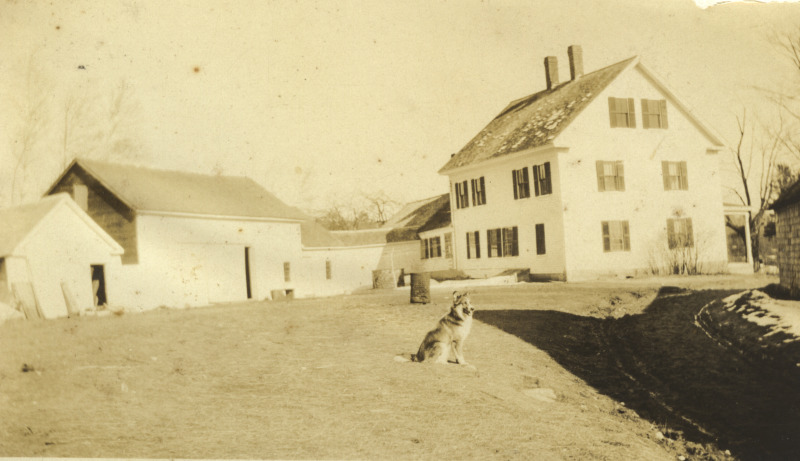 Scaled image s01541.jpg 