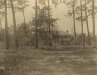 Thumbnail s01552.jpg 