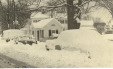 Thumbnail s01648.jpg 