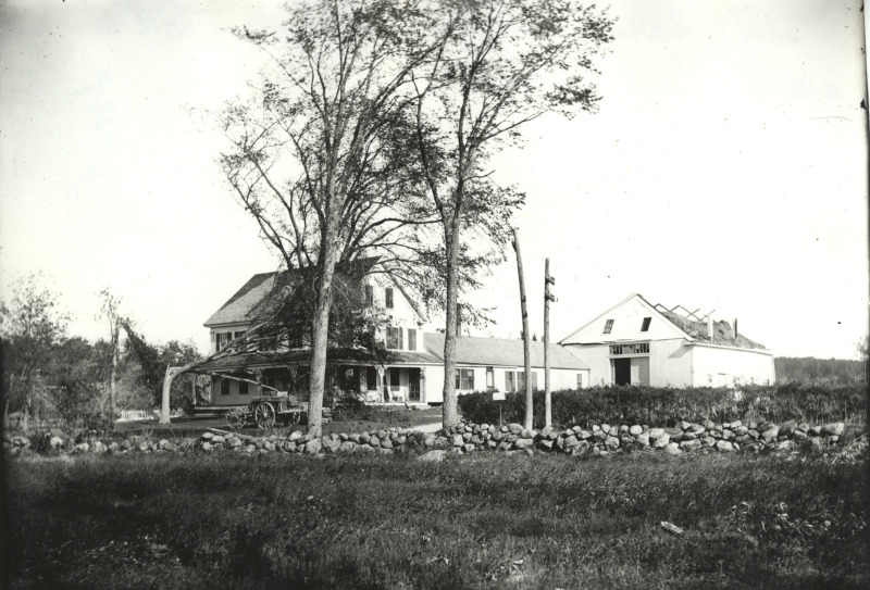 Scaled image s01124.jpg 