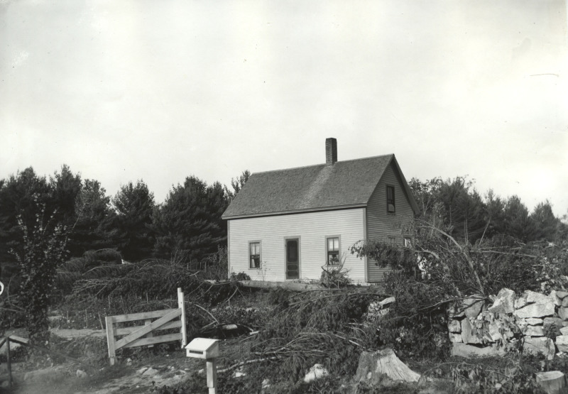 Scaled image s01129.jpg 