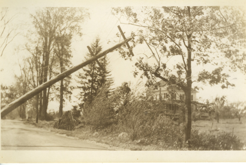 Scaled image s01130.jpg 