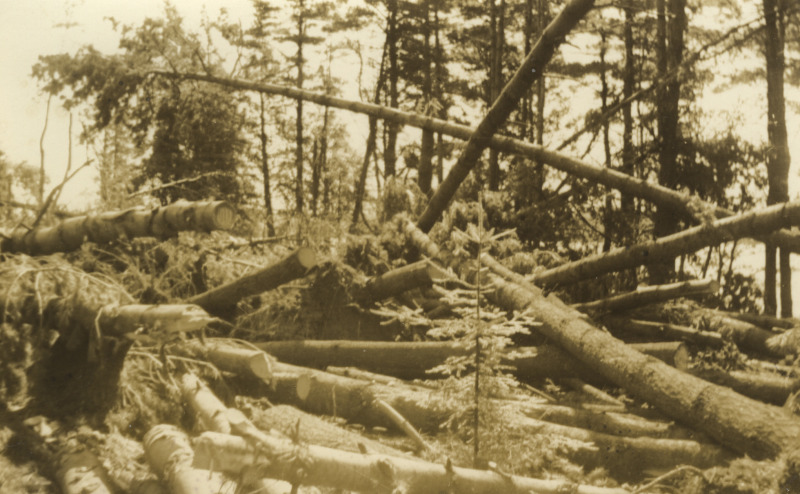 Scaled image s01132.jpg 