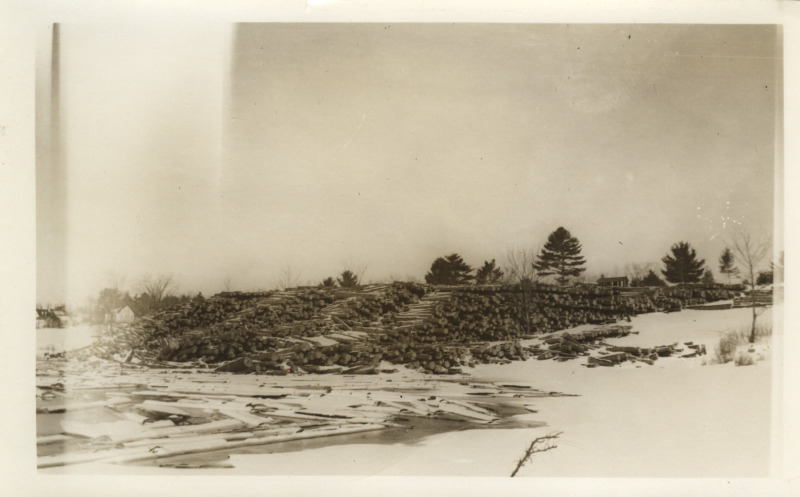 Scaled image s01135.jpg 